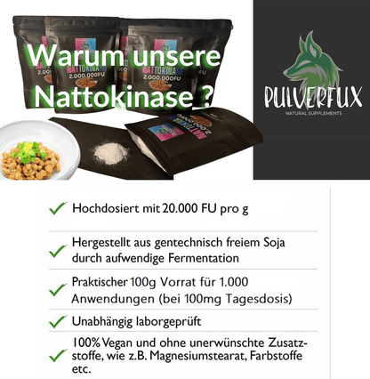 Pulverfux Nattokinase - Pulver 100g